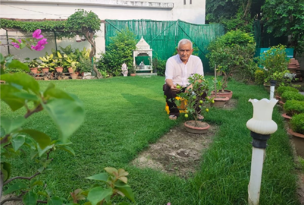 special story of gardening by Doctor Ashish Ghosh preserving wife hobby of gardening