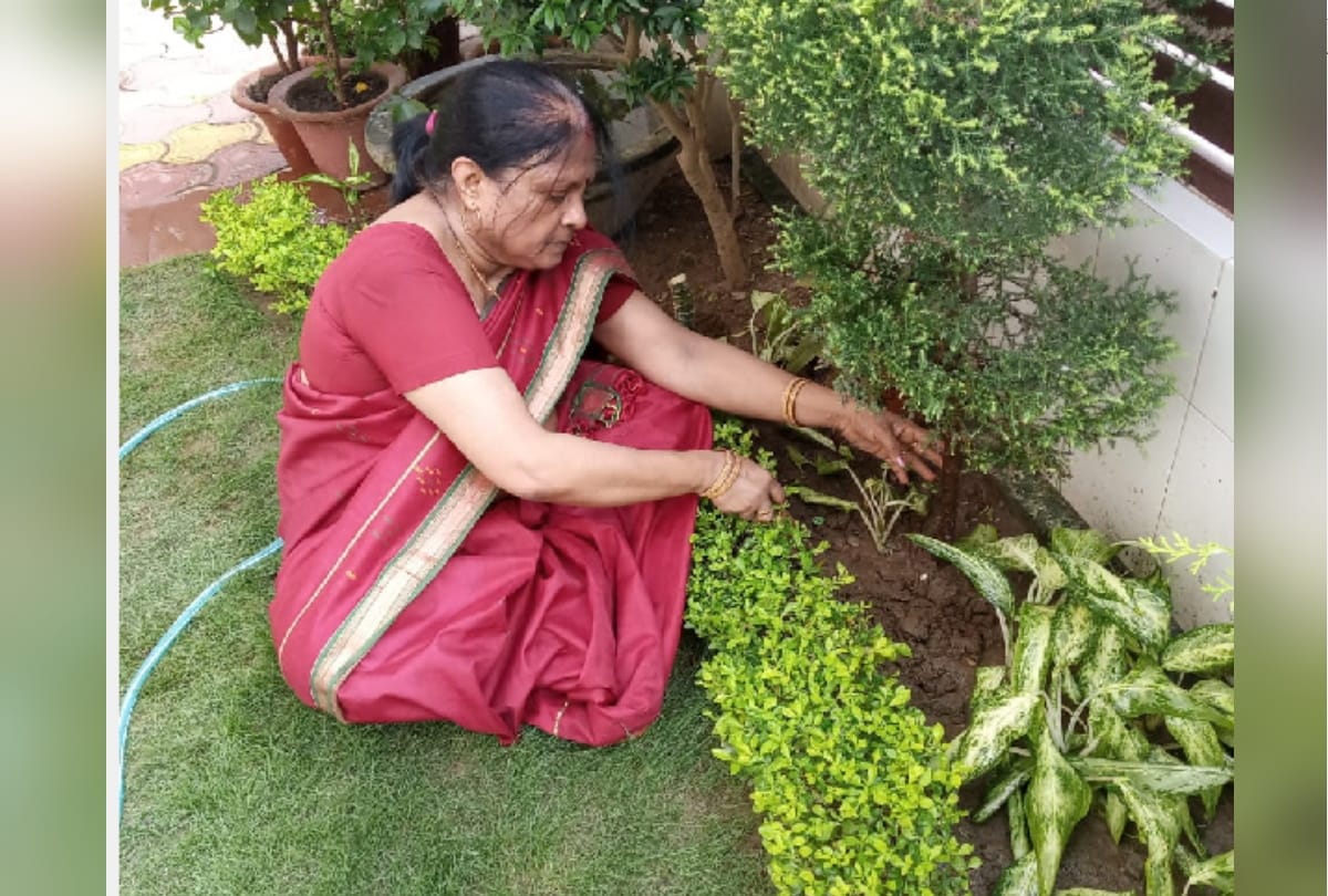 special story of gardening by Doctor Ashish Ghosh preserving wife hobby of gardening