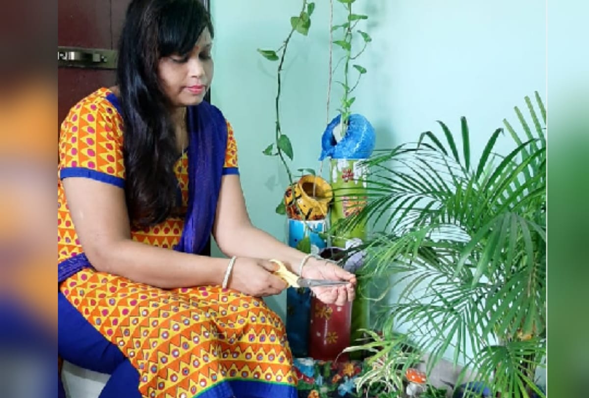 special story of gardening by Doctor Ashish Ghosh preserving wife hobby of gardening