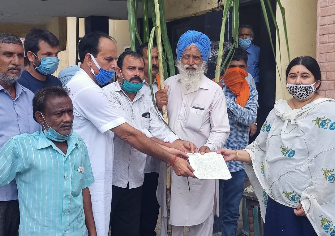Protest For Sugarcane Due