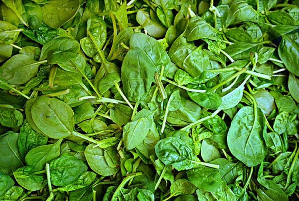 With the help of these methods the child habit of eating soil can be released