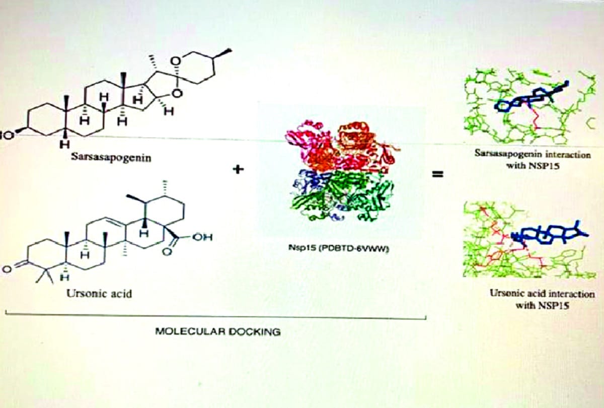 Chemical elements of plants can prevent corona