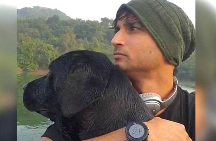 Actor Sushant Singh Rajput transferred money for the dogs Amar Akbar and Anthony care