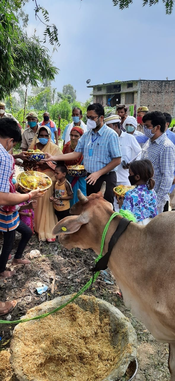 dm provided cow to family
