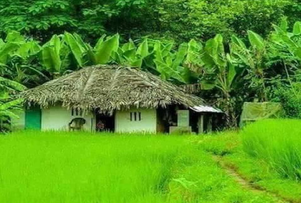 Amazing and beautiful places in India Coorg The Scotland Of India