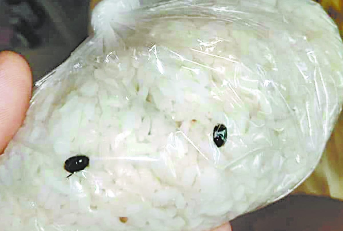 Patients receiving inferior and insect food in Kovid Hospital