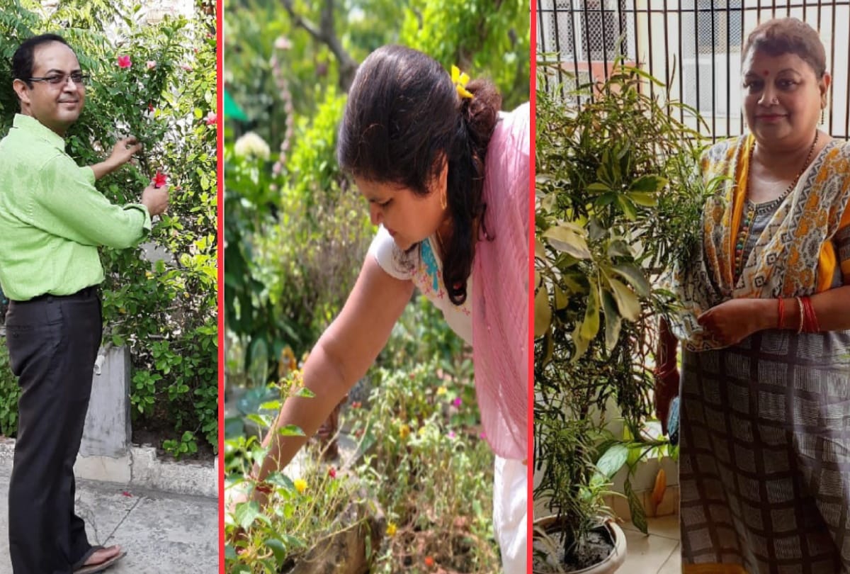 Special story of beautiful Gardening by Anupama Singh, Dr. Mihir and Poonam Singh in gorakhpur