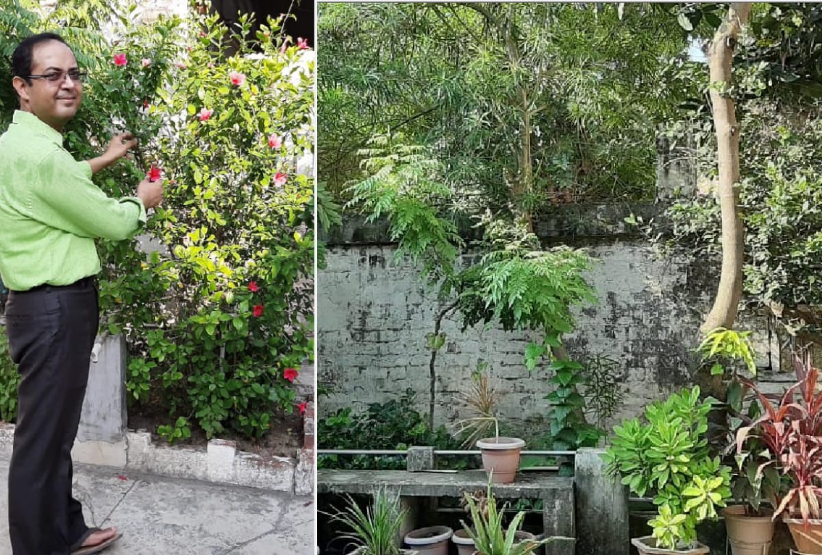 Special story of beautiful Gardening by Anupama Singh, Dr. Mihir and Poonam Singh in gorakhpur