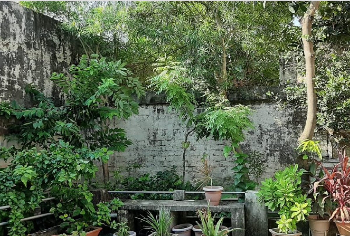 Special story of beautiful Gardening by Anupama Singh, Dr. Mihir and Poonam Singh in gorakhpur