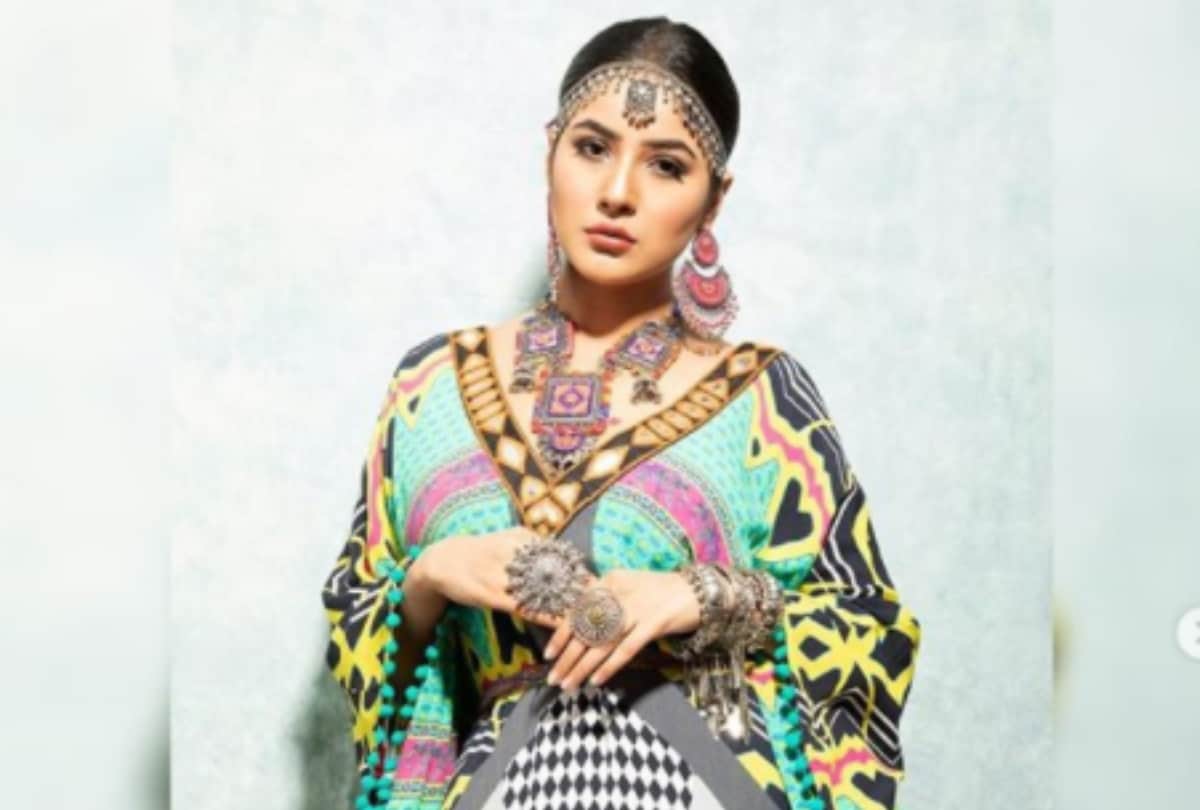 bigg boss 13 contestant shehnaaz gill transformation look