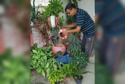 special story of home gardening go green go