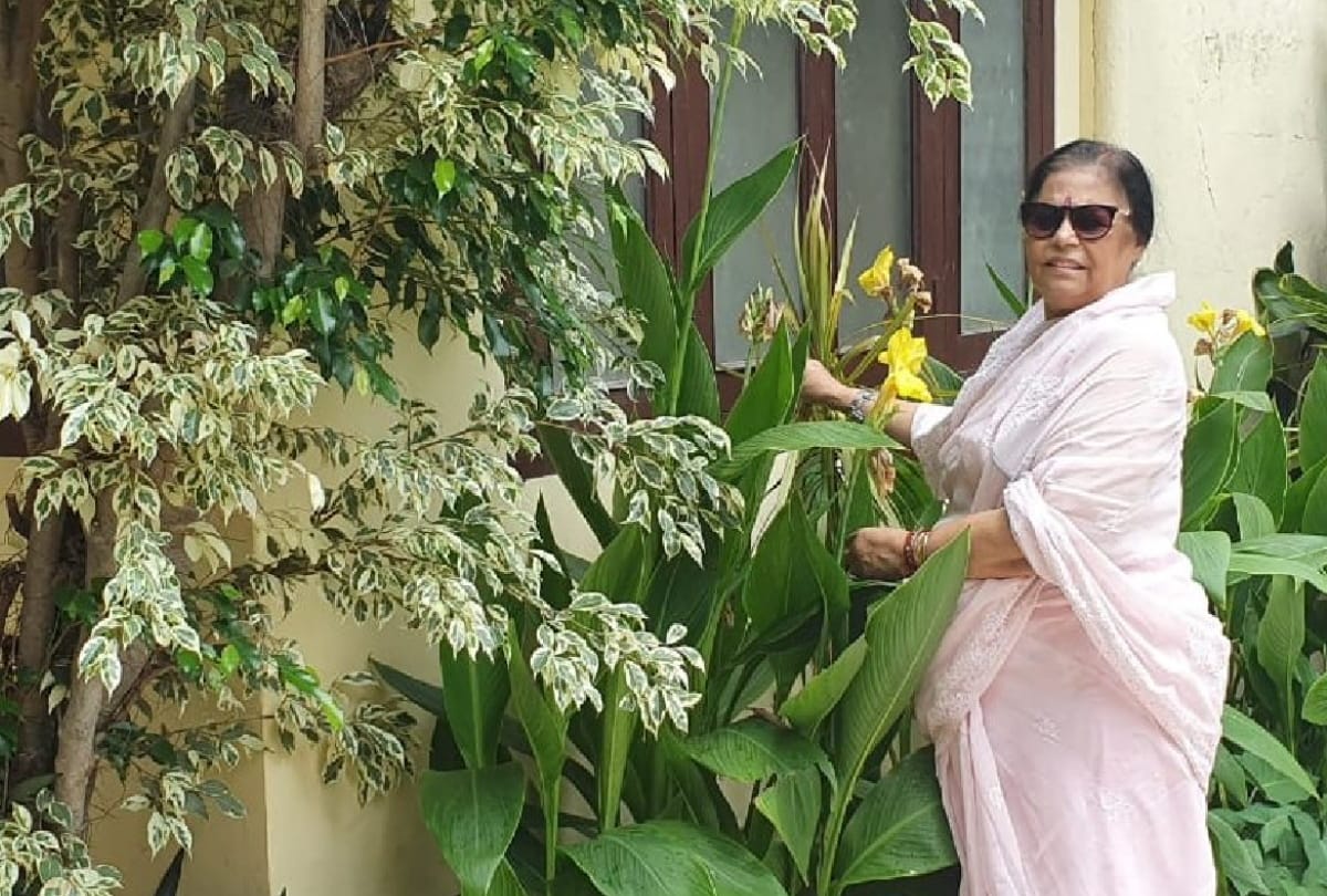 special story of home gardening go green go