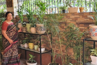 special story of home gardening go green go