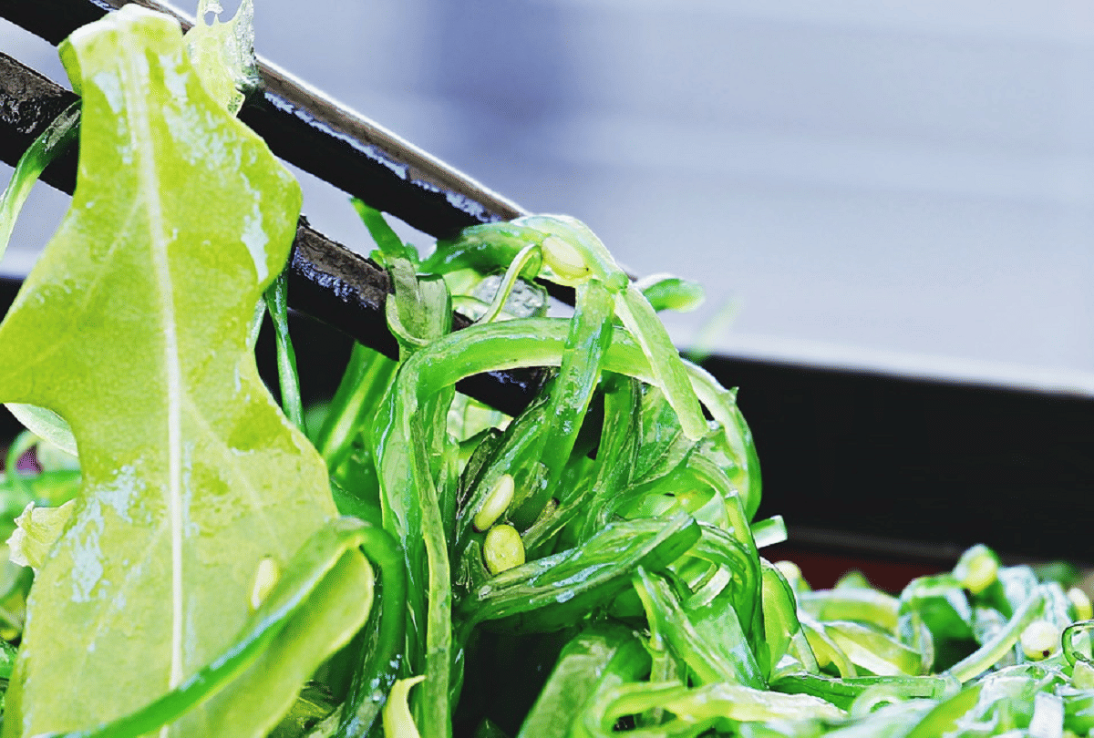 seaweed which can come in both food and fuel in future