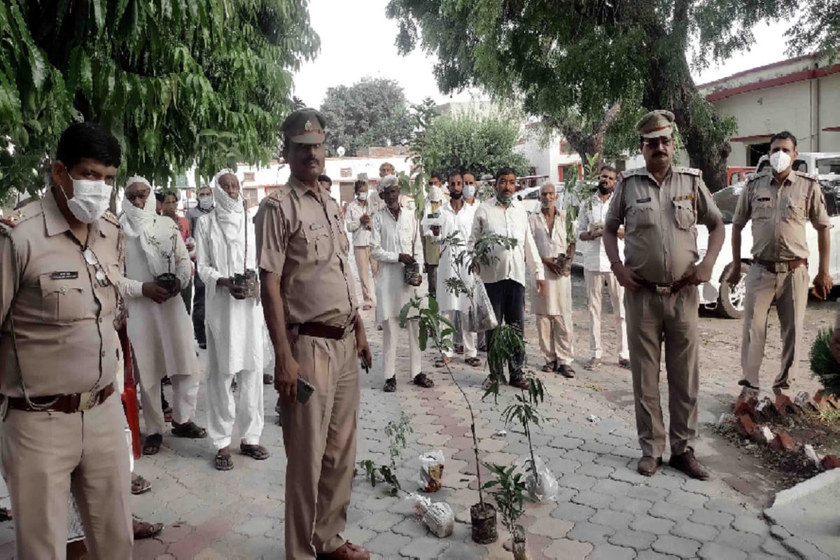 Shamli News: 36 history-sheets took one plant each and handed it over to the policeman