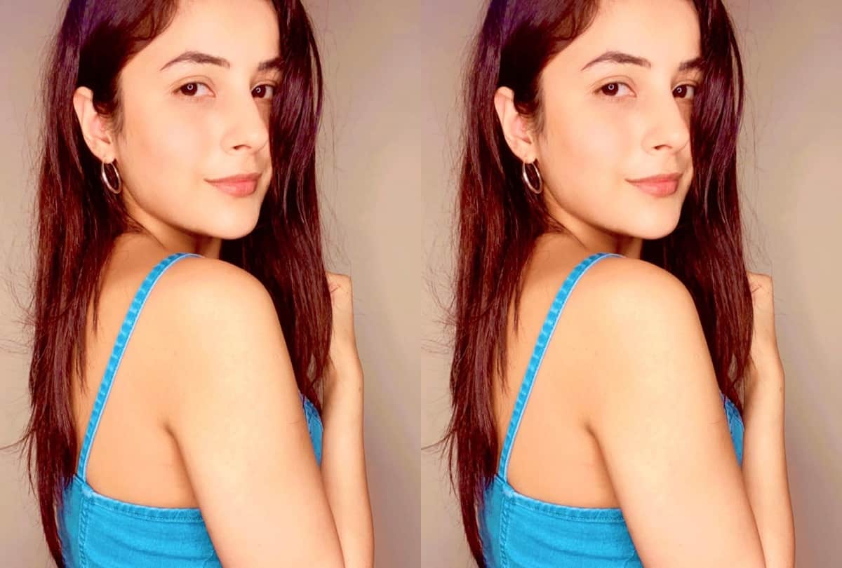 bigg boss fame shehnaz gill bold photoshoot viral on social media