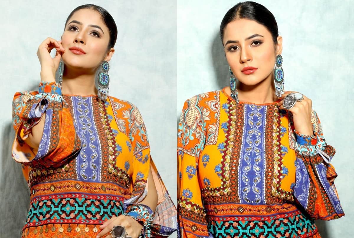 bigg boss fame shehnaz gill bold photoshoot viral on social media