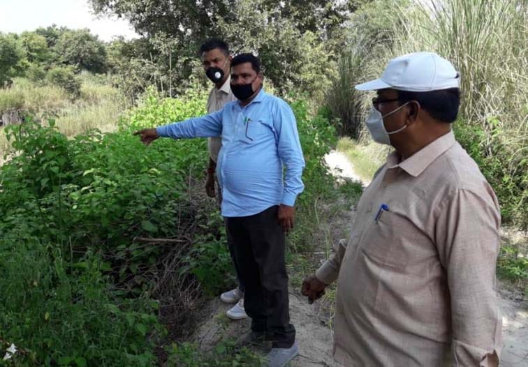 Crocodile hunt in eight km area