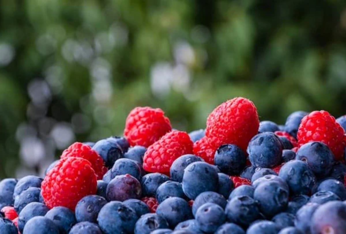 best diet plan chart for liver in hindi