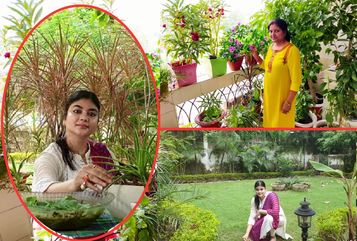 Story of special gardening by Director of Springer Public School Shipra and other people