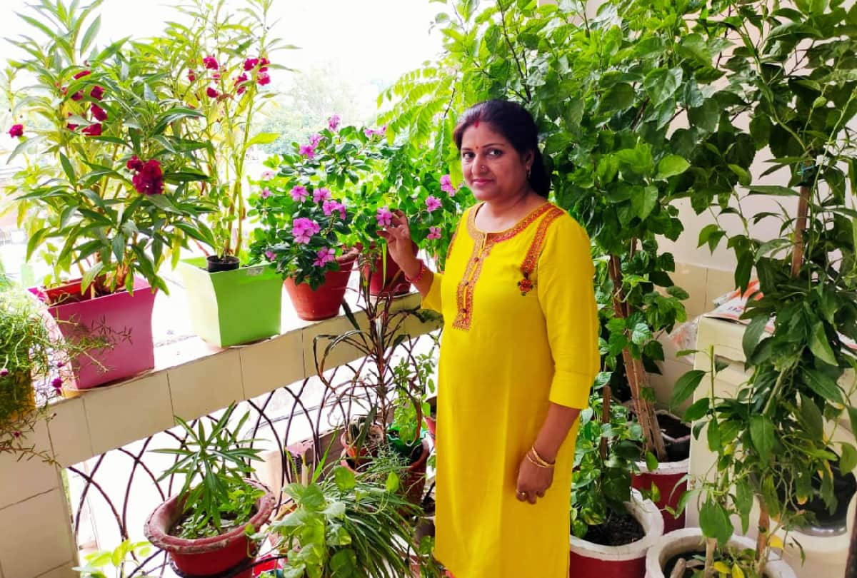 Story of special gardening by Director of Springer Public School Shipra and other people