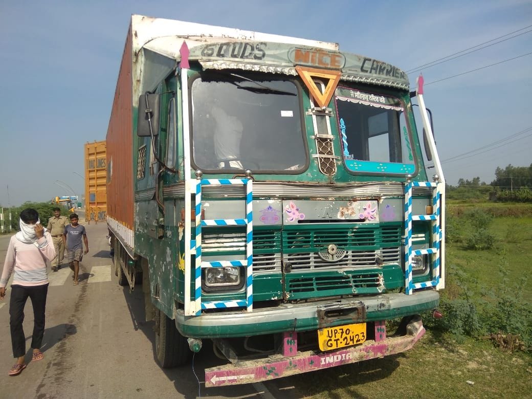 35 cattle found in containers on expressway, 7 dead