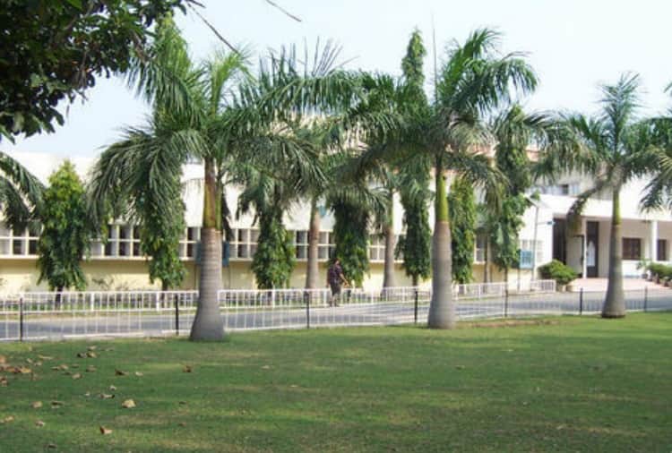 Read the success stories of two Punjab students during the Corona Pandemic