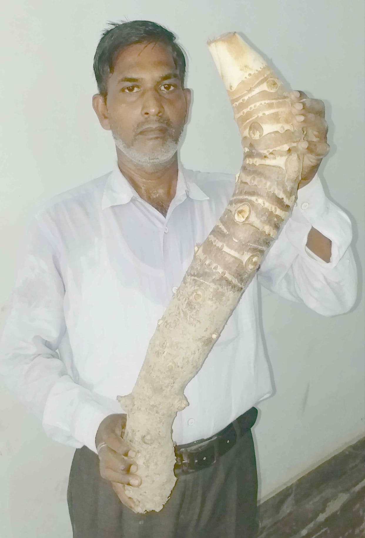 Nine kilo banda became the subject of discussion