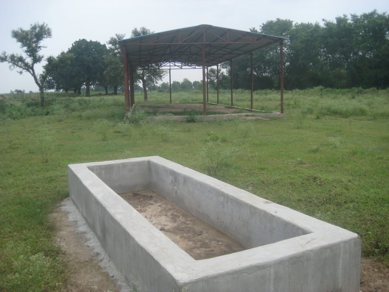 cow house negligence by administration
