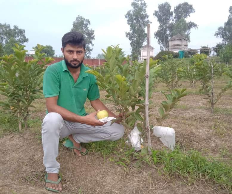farming