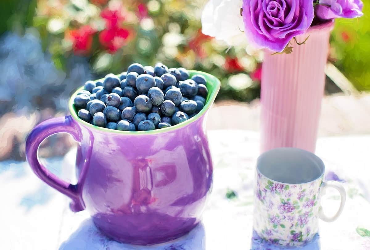 protein and fiber rich food that you should definitely be included in breakfast