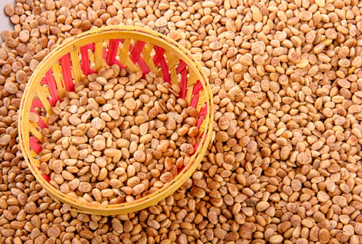 Health benefits of Chironji get rid of constipation and relieve physical weakness