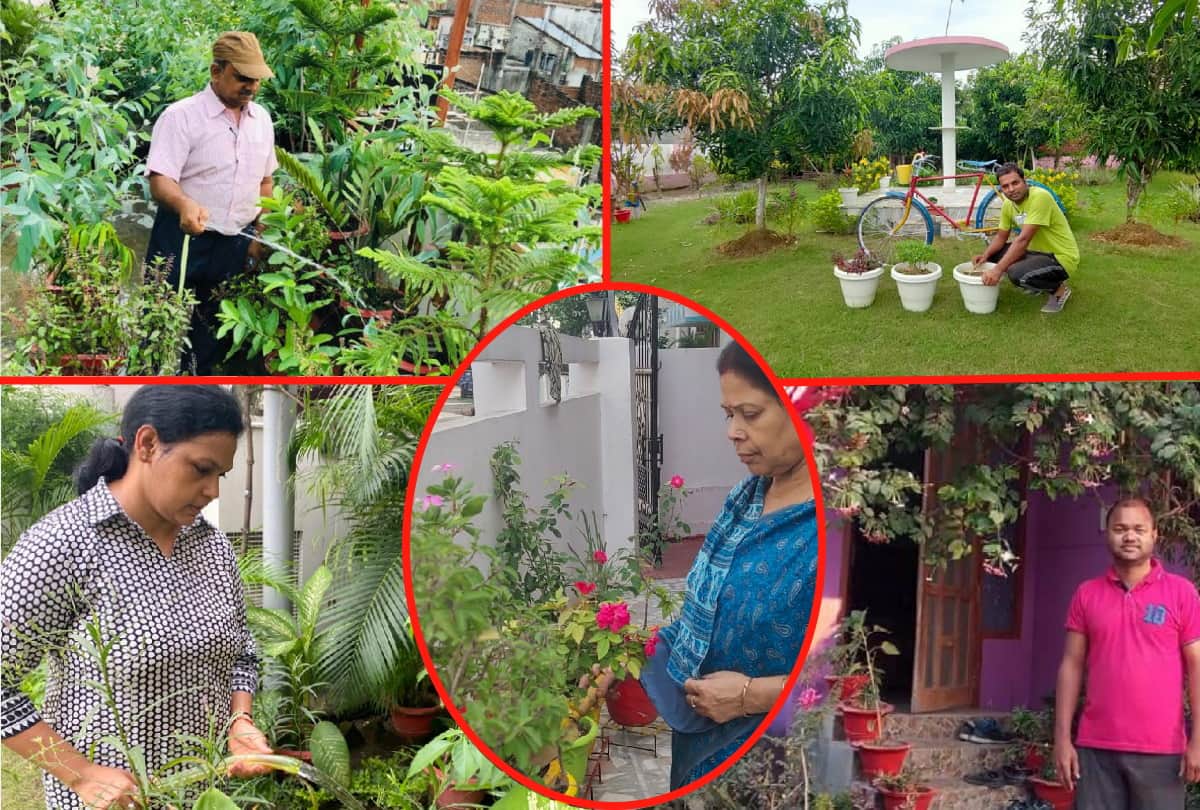 Gardening inspiration of Advocate Abhishek Singh and many people from gorakhpur