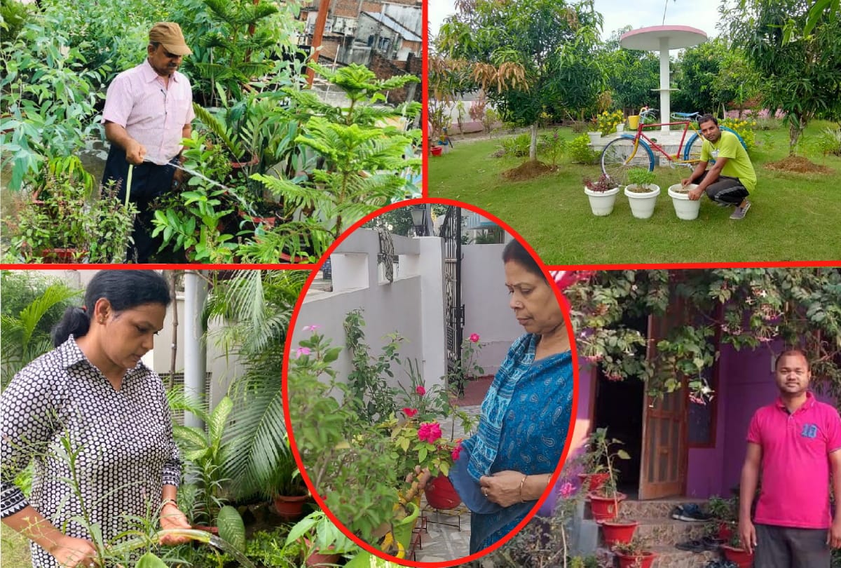 Gardening inspiration of Advocate Abhishek Singh and many people from gorakhpur