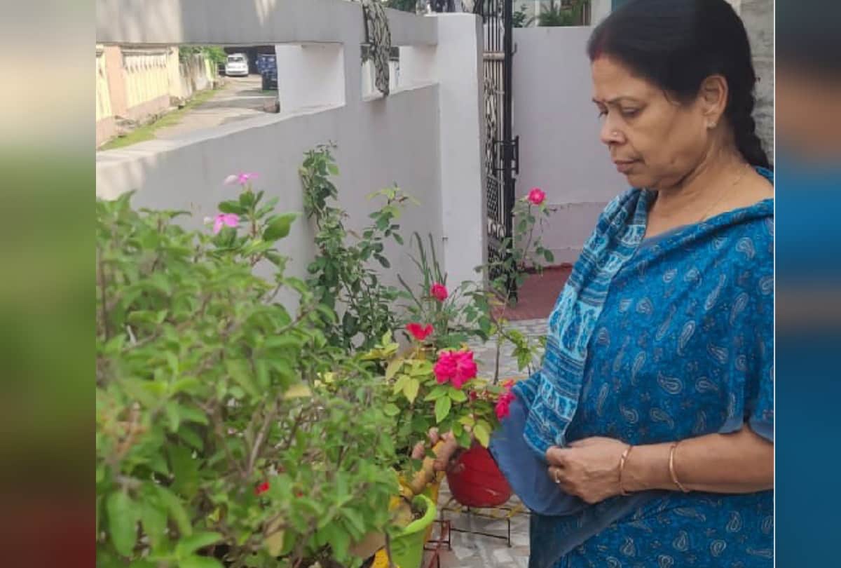 Gardening inspiration of Advocate Abhishek Singh and many people from gorakhpur