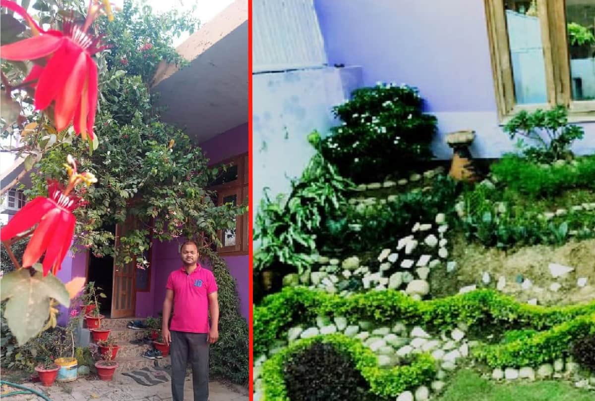 Gardening inspiration of Advocate Abhishek Singh and many people from gorakhpur