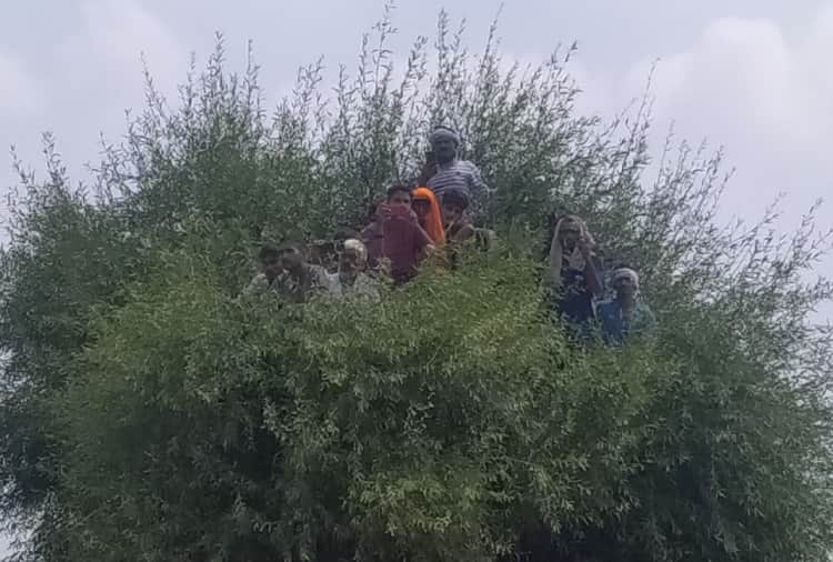 People gather in huge number during last rites of Shaheed in Charkhi Dadri