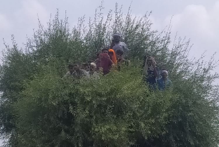 People gather in huge number during last rites of Shaheed in Charkhi Dadri