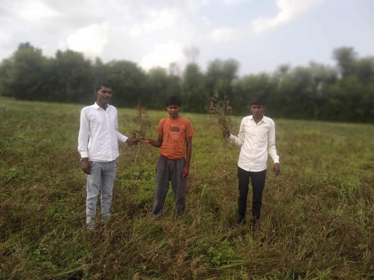 crop failure, farmers demand relief