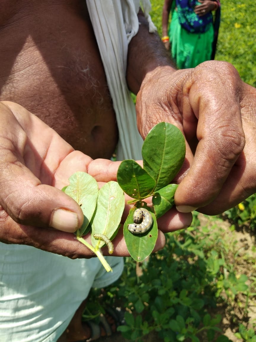 Illi reach field, crop damage farmer disturb