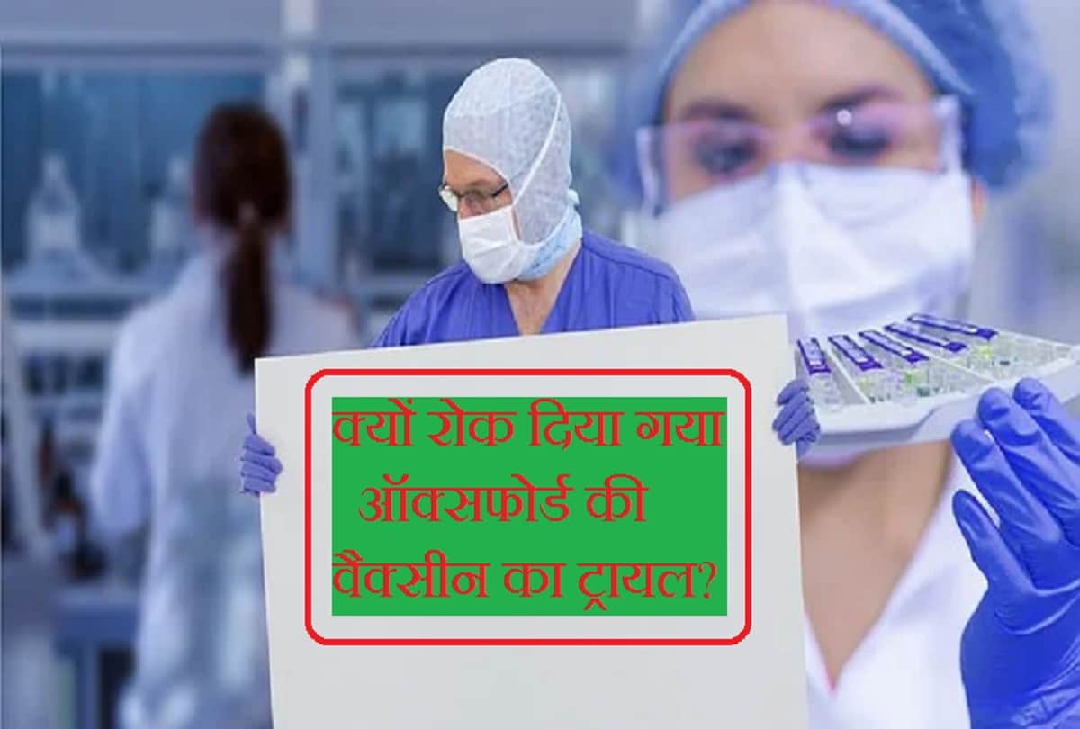 Coronavirus Vaccine updates in hindi Oxford AstraZeneca Covid 19 vaccine study paused after one illness Coronavirus vaccine making and trial process