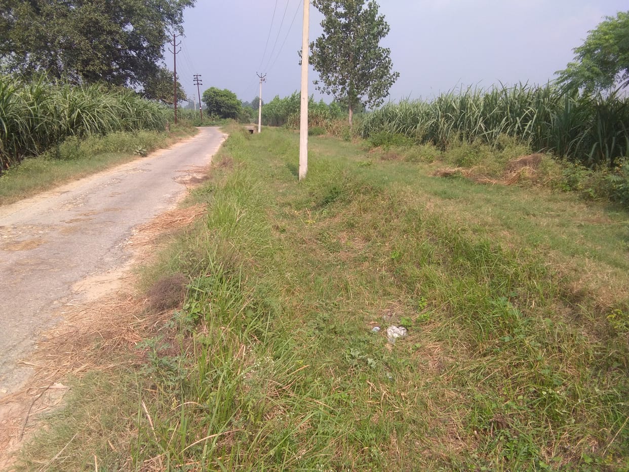Farmers worried over lack of irrigation of crops
