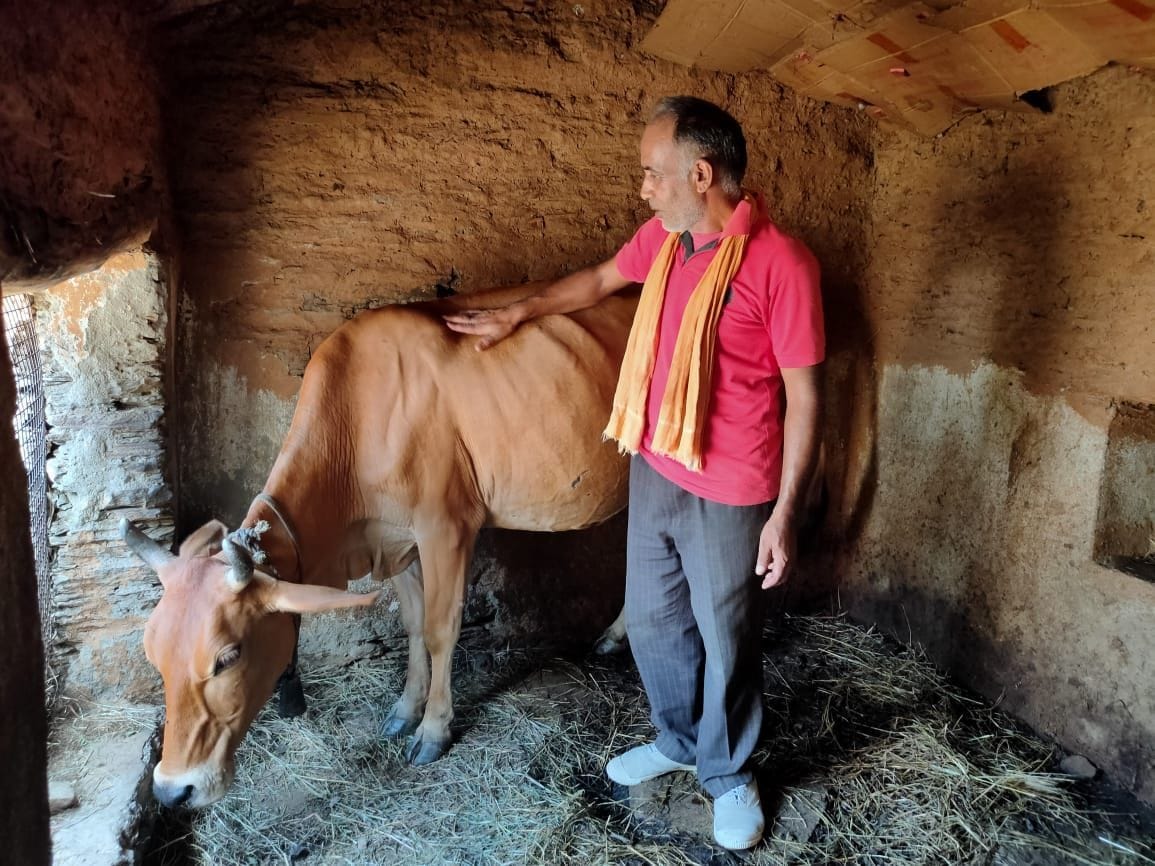 Leaving the fascination of the city, farming made farmers a source of livelihood