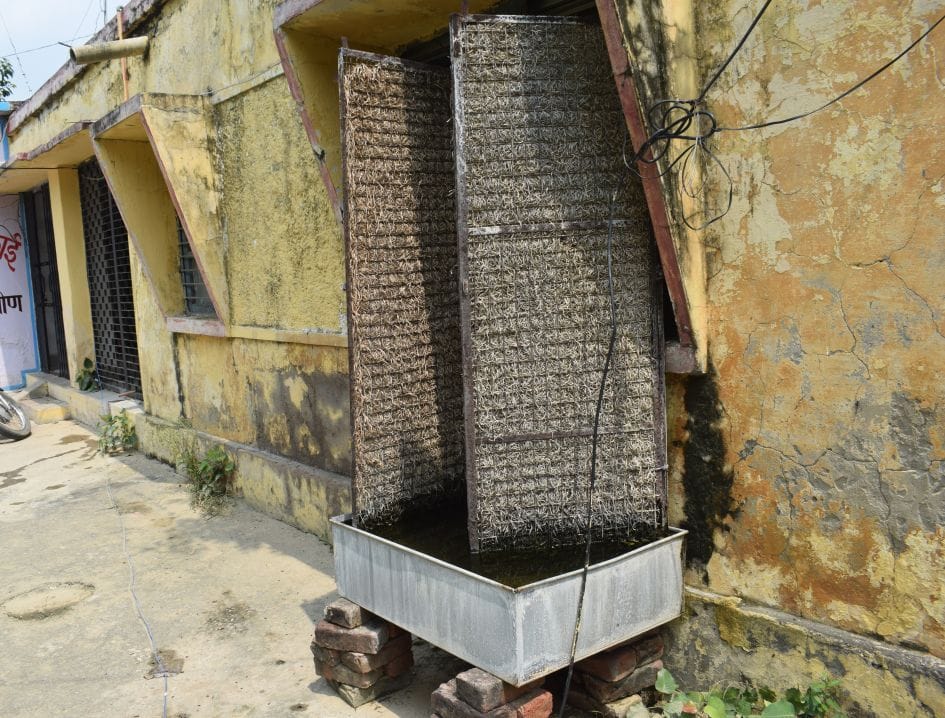 dangu in mainpuri