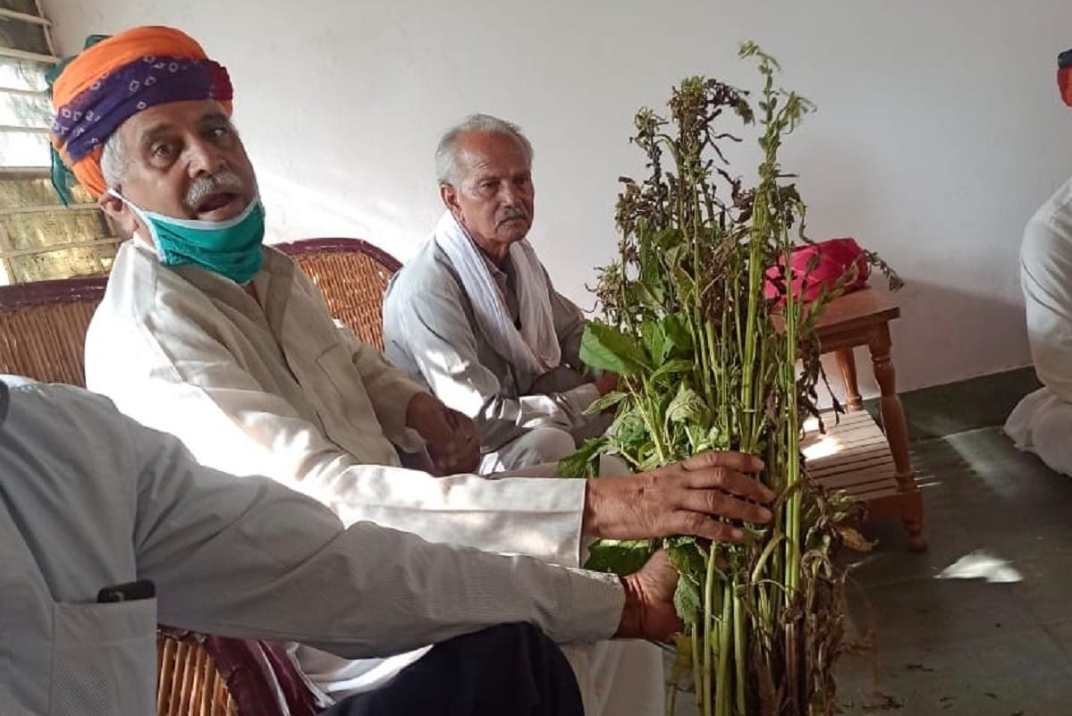 Following the social distancing in the pandemic, approaching 68 lakh farmers in this unique method