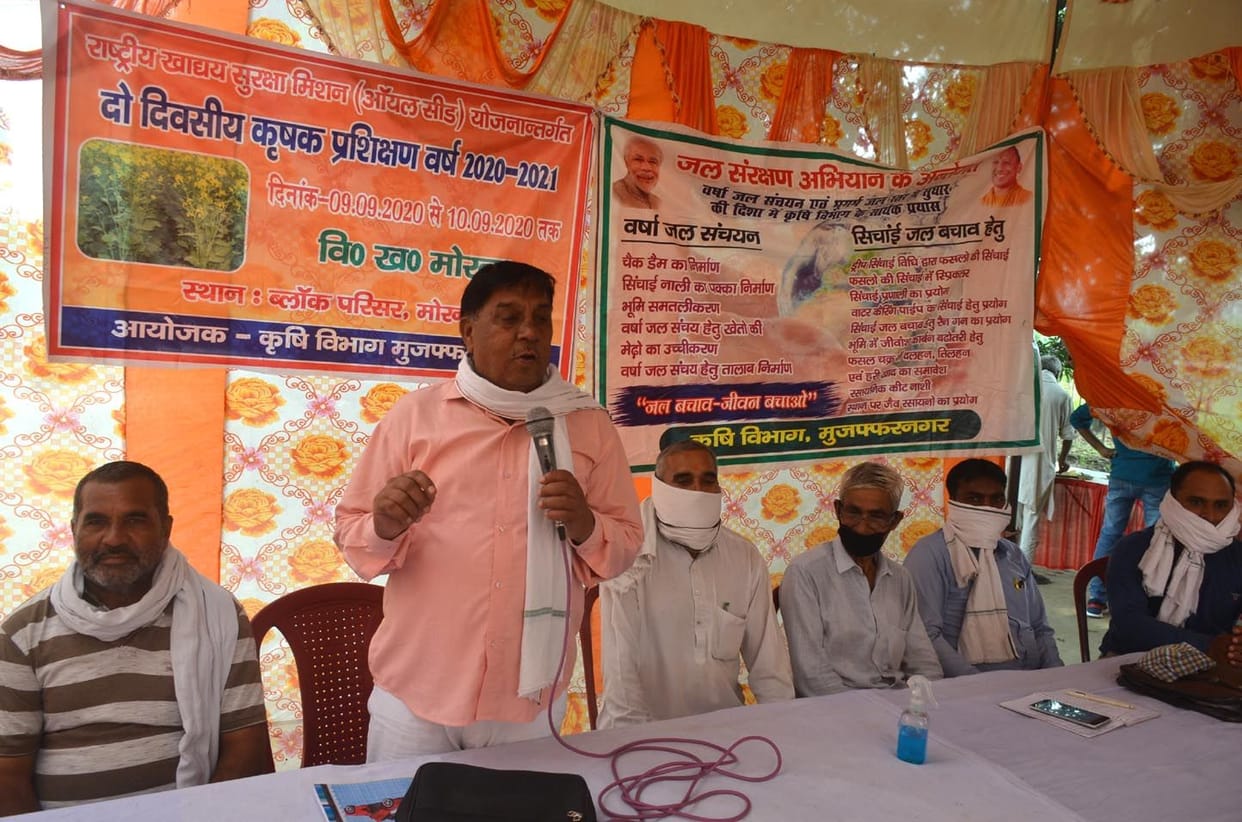 Farmers make profits by adopting organic farming