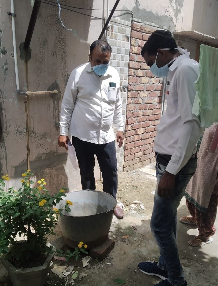 dengue test satart and larva survey