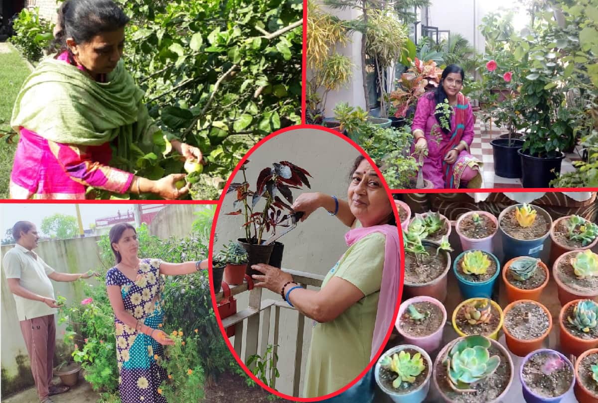 special Gardening story of environmental protection by many people in gorakhpur