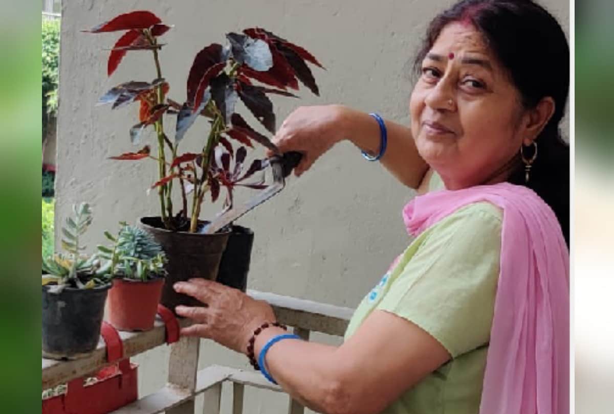 special Gardening story of environmental protection by many people in gorakhpur