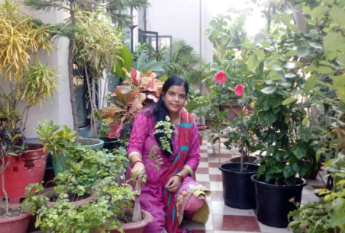 special Gardening story of environmental protection by many people in gorakhpur